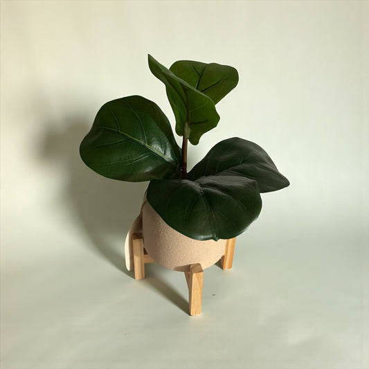Faux Fiddle Fig Plant