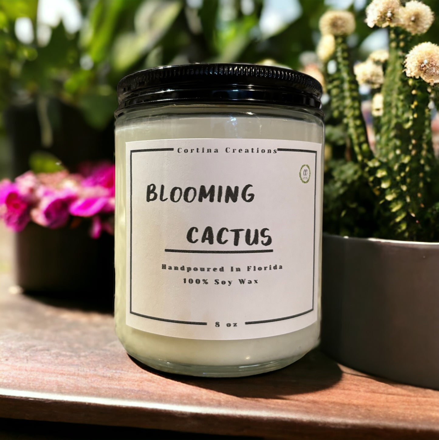Blooming + Cactus