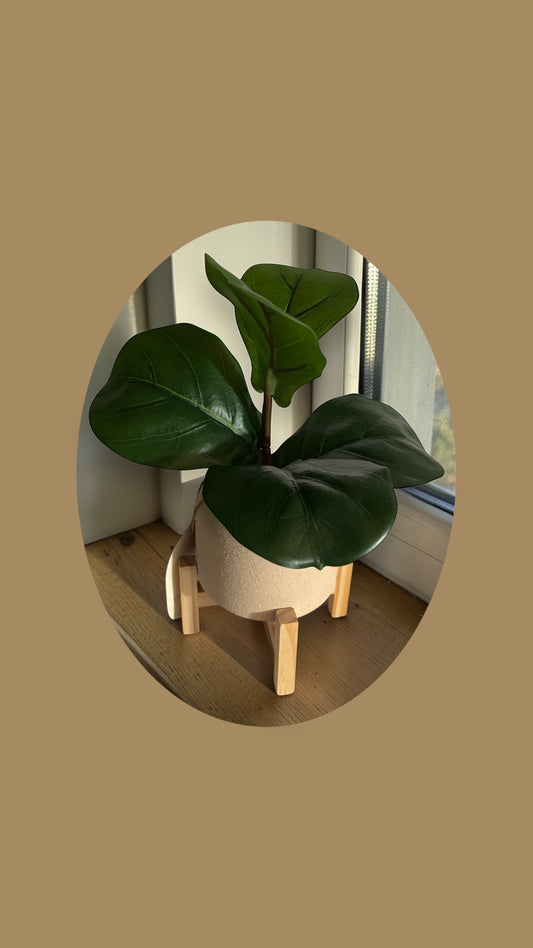 Faux Fiddle Fig Plant